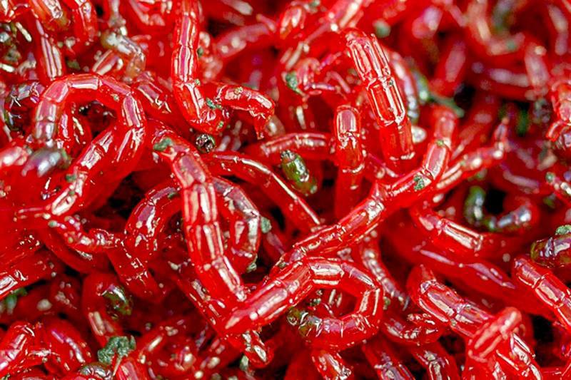 Хранение мотыля