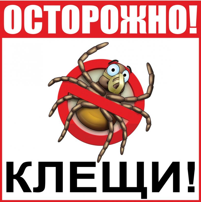Внимание! Клещи! Внимание! Клещи!