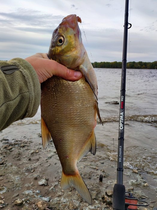 Удилище фидер "Volzhanka Optima Evo Pro 12ft" 3.6м тест 60+гр