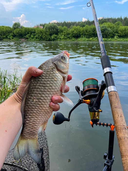 Катушка б/ин с системой бейтранер "Волжанка Карп Мастер 3000" (5+1 подш);(0.26мм/150м)