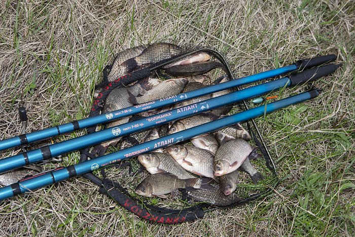 Удилище с/к "Волжанка Атлант" 6.0м (6 секций) тест до 50гр (IM7)