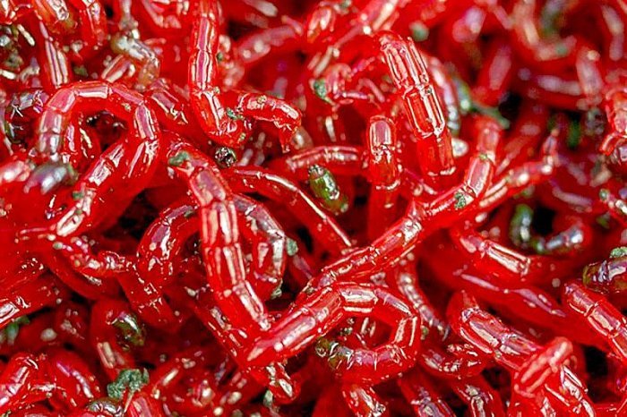 Хранение мотыля