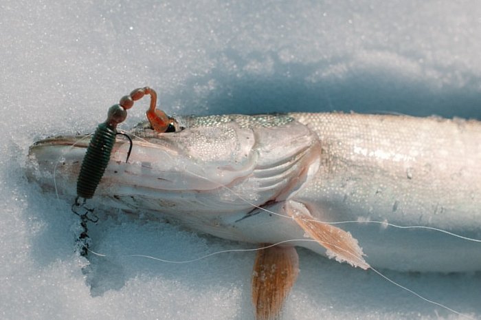 Силиконовая приманка "Volzhanka Sweet Smelt 68" цвет 1023 (в упак. 8шт)