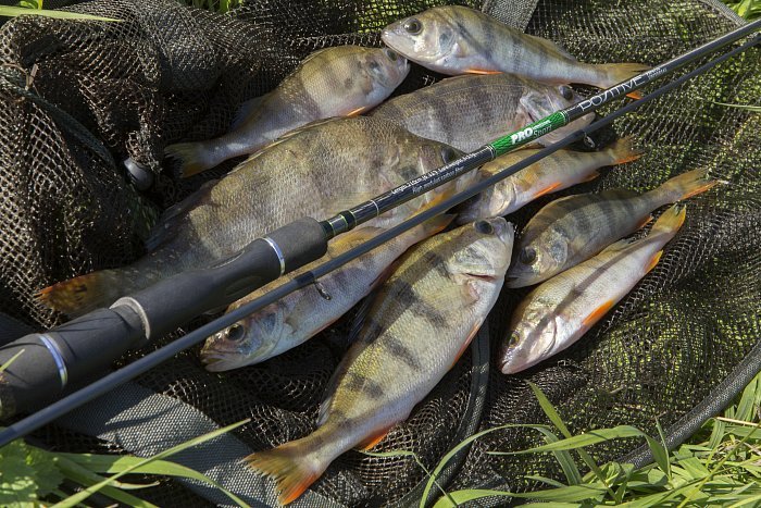 Спиннинг "Volzhanka Pro Sport Positive" тест 2-8гр 1.9м (2 секции)