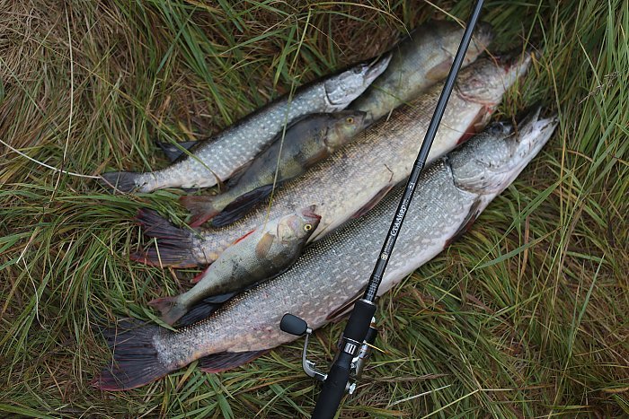 Спиннинг "Волжанка Сталкер" тест  7-21гр 2.4м (2 секции) (IM6)