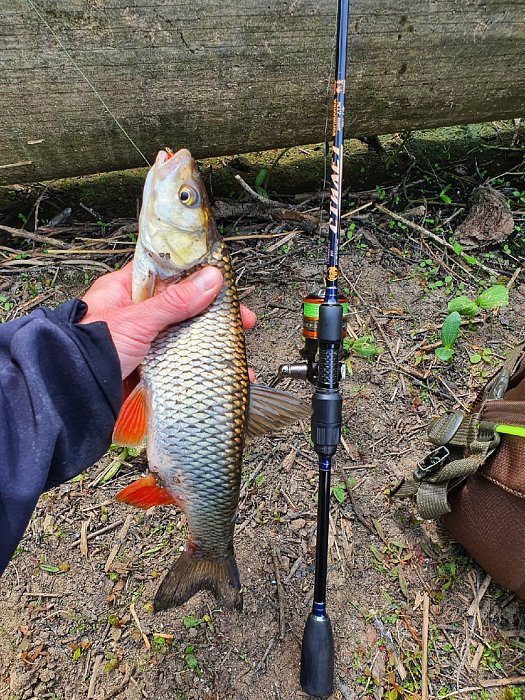 Спиннинг "Волжанка Стилет" тест 2-7гр 2.3м (2 секции) (IM7) Спиннинг "Волжанка Стилет" тест 2-7гр 2.3м (2 секции) (IM7)