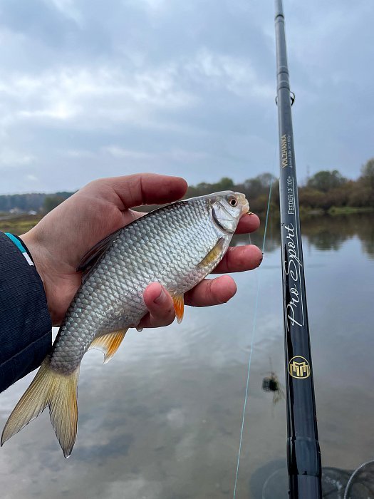 Удилище фидер "Volzhanka Pro Sport 12ft 60+" 3.6м (3секции+3) тест 60гр