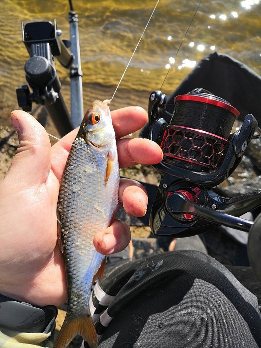 Катушка "Volzhanka Pro Sport Light 5025 PE " (10+1 подш) 0.25мм/200м