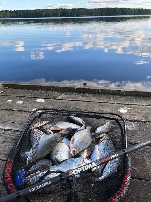 Удилище фидер "Volzhanka Optima Evo Pro 12ft" 3.6м тест 60+гр