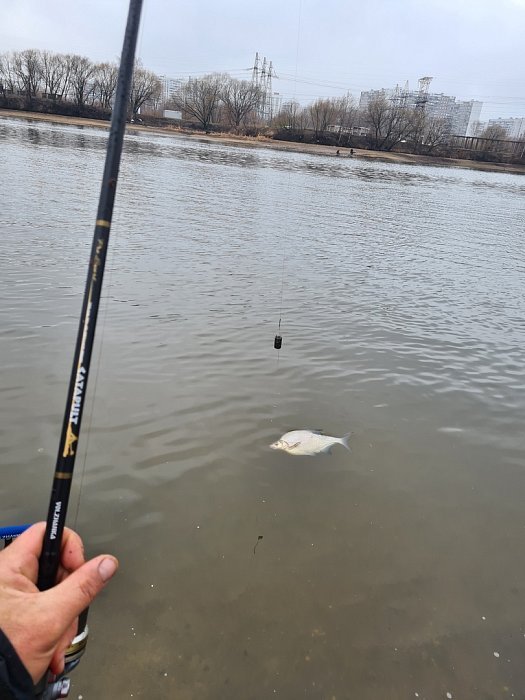 Удилище фидер "Volzhanka Pro Sport Catapults LS 12ft 50+" 3.6м (3 секции+3) тест 50+гр