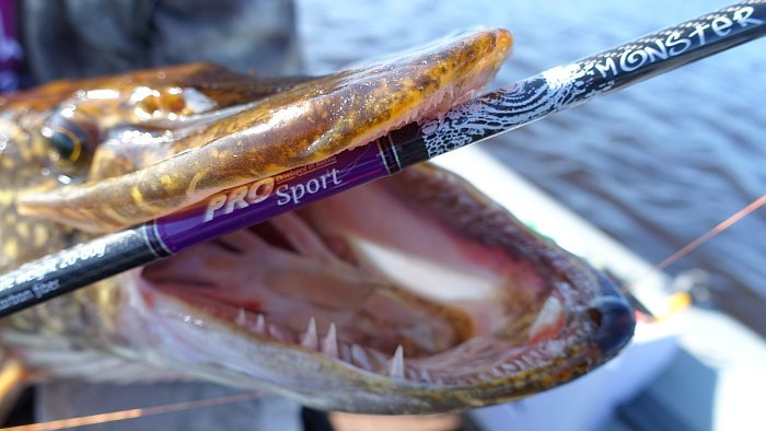 Спиннинг "Volzhanka Pro Sport Monster" тест 20-60гр 2.3м (2 секции)