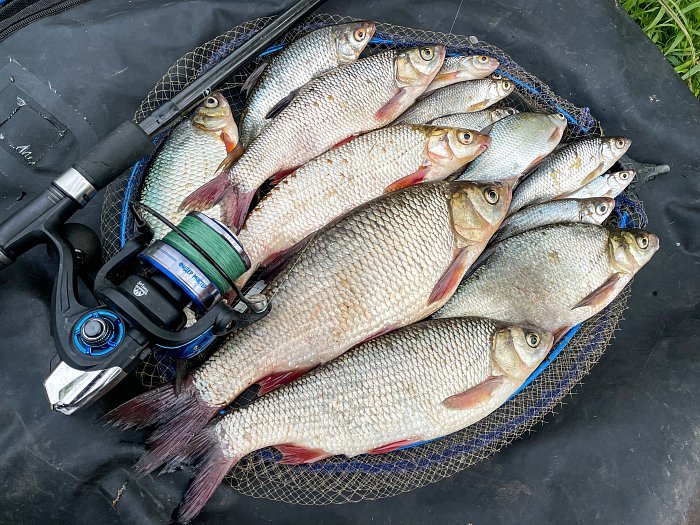 Катушка "Волжанка Фидер Мастер 5000" (5+1 подш);(0.25мм/200м)