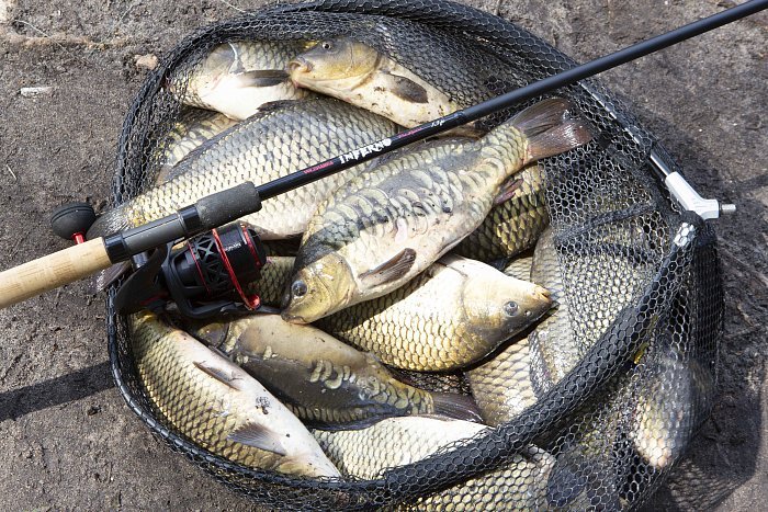 Удилище матч "Volzhanka Pro Sport Inferno 14ft 20g" 4.2м (3 секции) тест 20гр