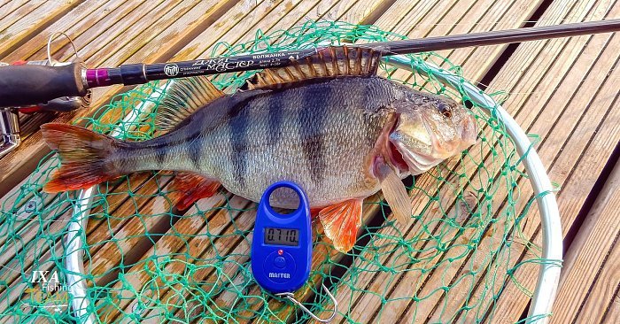 Спиннинг "Волжанка Джиг-Мастер" тест 10-40гр 2.7м (2 секции)