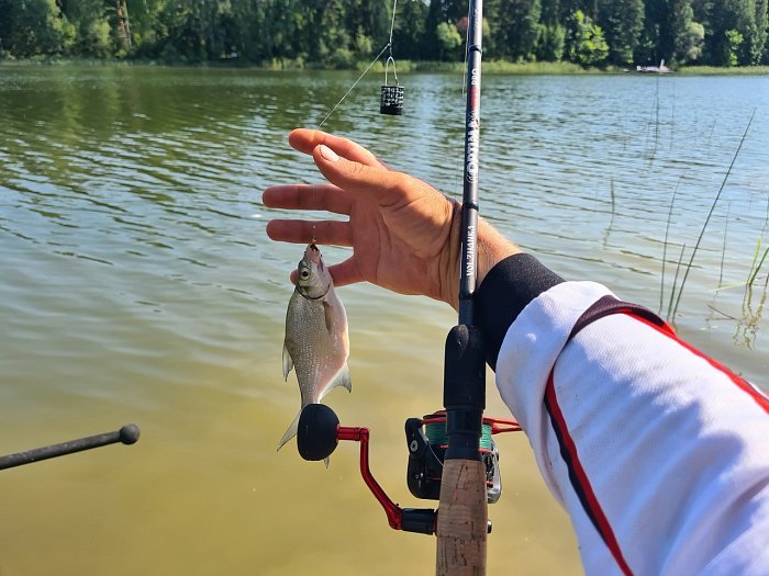 Удилище фидер "Volzhanka Optima Evo Pro 12ft" 3.6м тест 60+гр