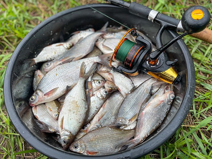 Катушка б/ин с системой бейтранер "Волжанка Карп Мастер 3000" (5+1 подш);(0.26мм/150м)