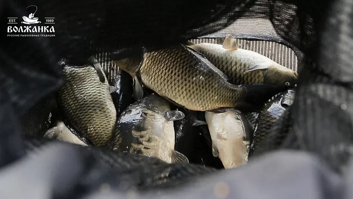 Садок "Volzhanka Pro Sport Carp" 3.0м