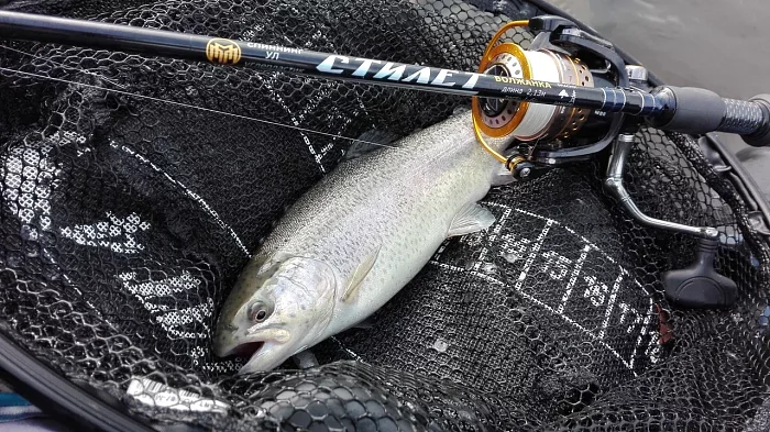 Ловля форели осенью