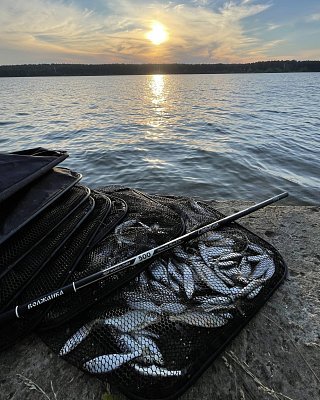 Маховые удилища