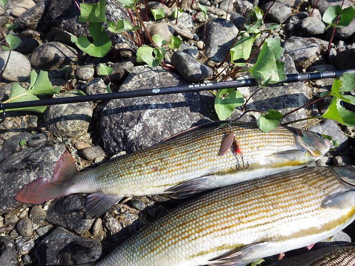 Спиннинг "Волжанка Вояж"  тест 10-40гр  2.4/2.7м (4+1 секции) (IM8) + жесткий тубус