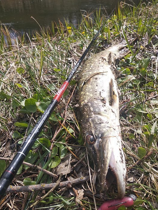 Спиннинг "Volzhanka Pro Sport Effect" тест  7-30гр  2.45м (2 секции)