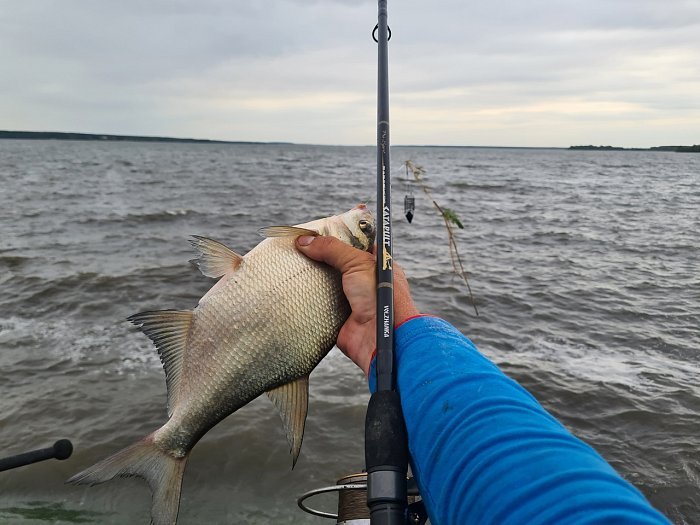 Удилище фидер "Volzhanka Pro Sport Catapults LS 12ft 50+" 3.6м (3 секции+3) тест 50+гр