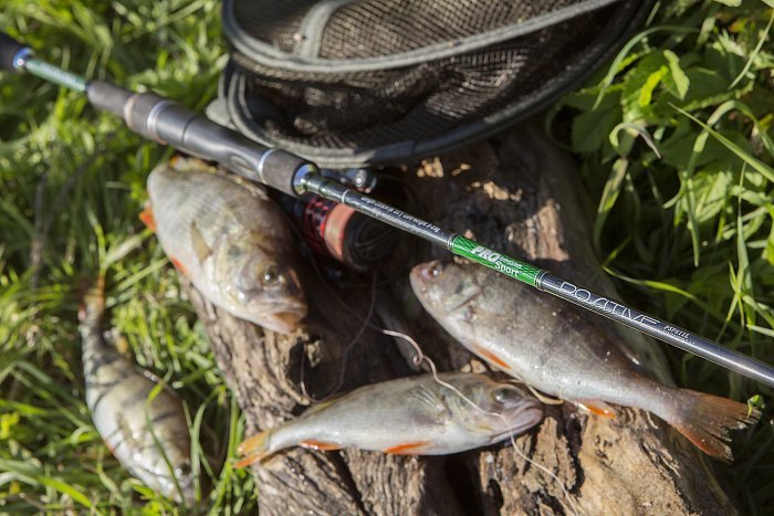 Спиннинг "Volzhanka Pro Sport Positive" тест 2-8гр 1.9м (2 секции)