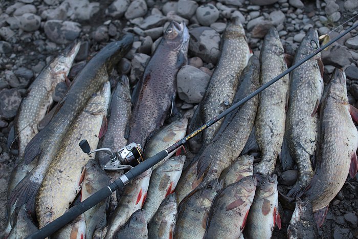 Спиннинг "Волжанка Универсал" тест 12-32гр 2.4м (2 секции) (IM6)