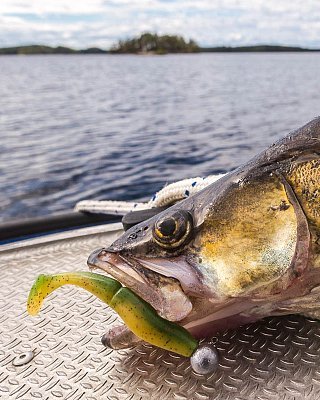 Силиконовая приманка "VOLZHANKA"