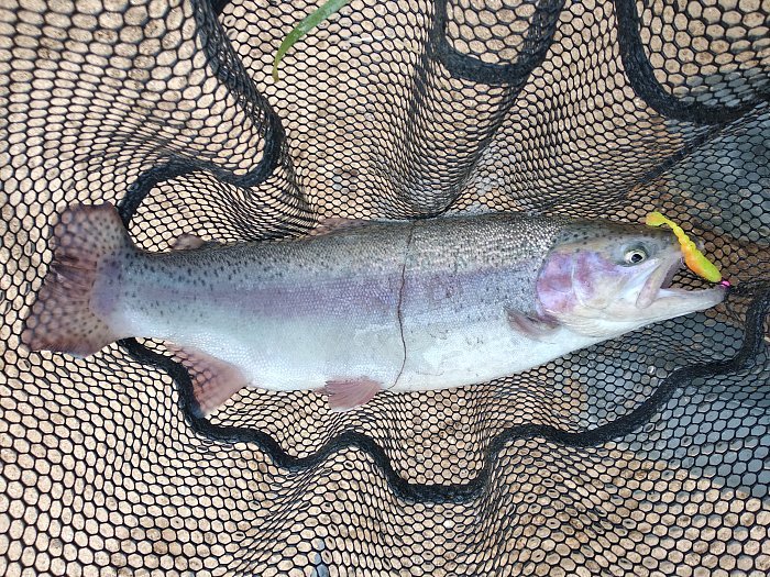 Силиконовая приманка "Volzhanka Sweet Smelt 68" цвет 2007 (в упак. 8шт)