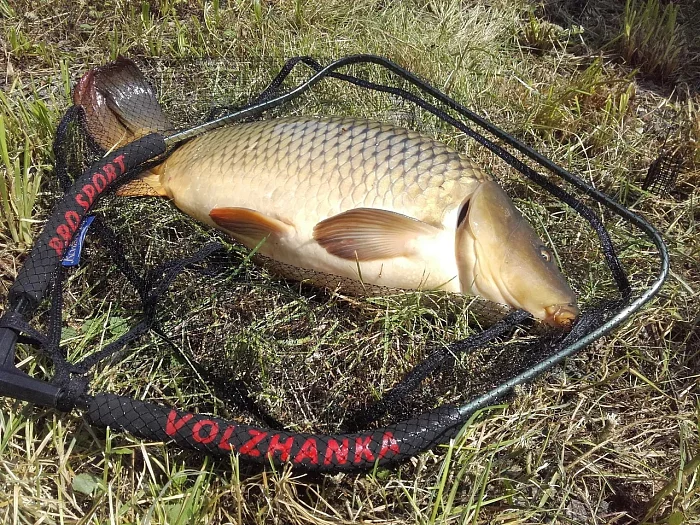 Голова для подсака "Volzhanka Pro Sport" 50*45*30, леска