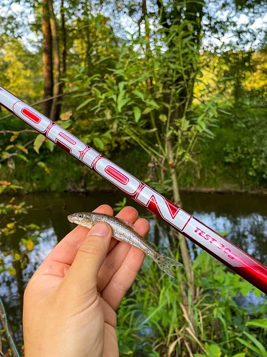 Удилище б/к "Волжанка Орион" 7.0м (7 секции) тест до 30гр