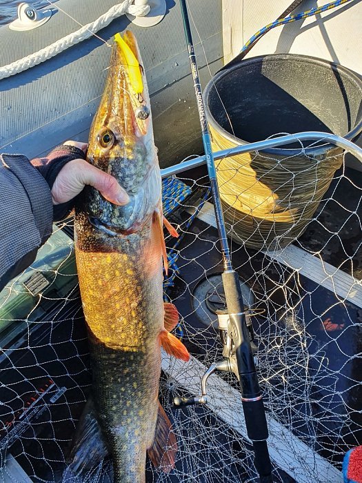 Спиннинг "Volzhanka Pro Sport Sensor" тест 12-48гр 2.45м (2 секции)