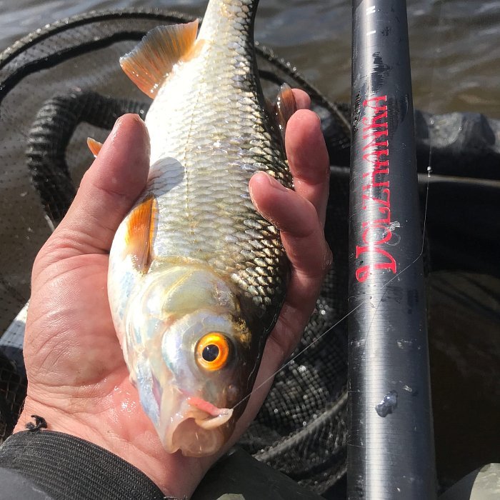 Удилище штекерное "Volzhanka Inferno" 13.0м (8 секций)