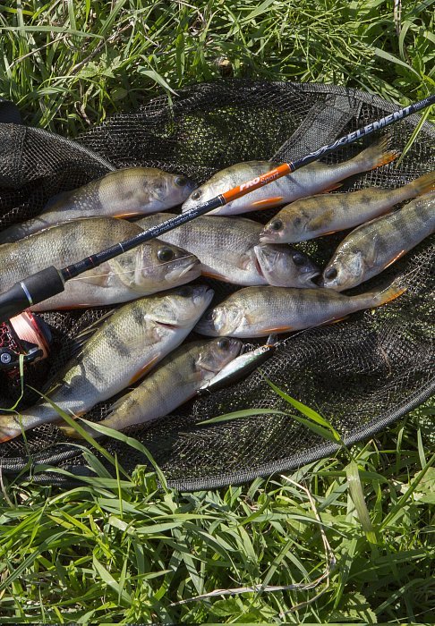 Спиннинг "Volzhanka Pro Sport Element" тест 5-20гр 2.13м (2 секции)