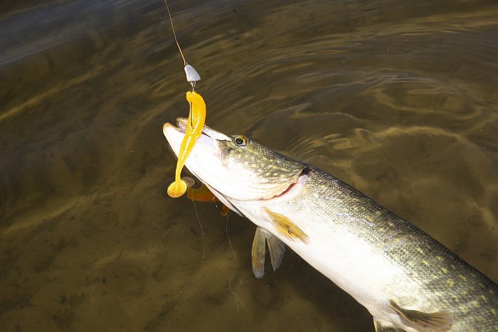 Силиконовая приманка "Volzhanka Naughty Roach 90" цвет 2007 (в упак. 6шт)