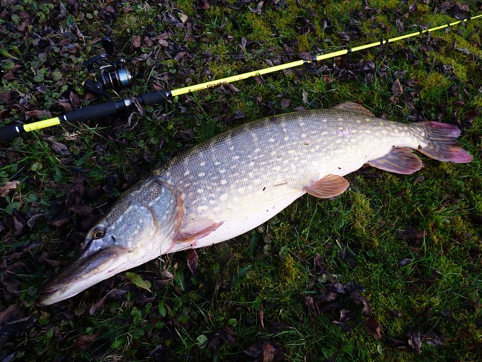 Удилище универсальное  "Волжанка Горыныч"  2.0м тест до  100гр (2 секции)