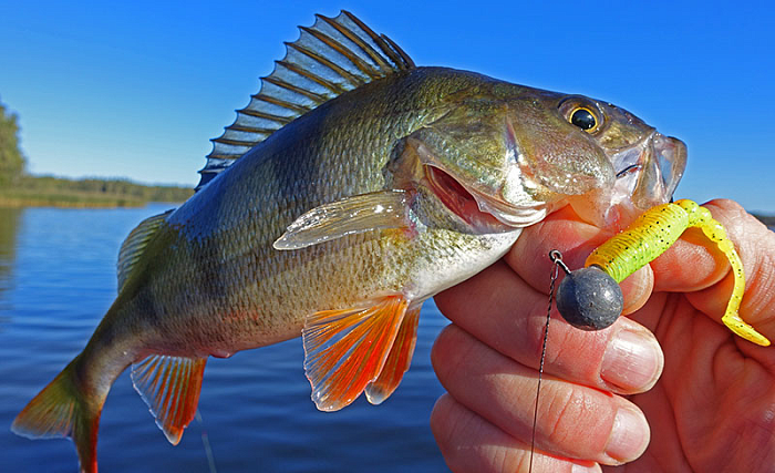 Силиконовая приманка "Volzhanka Sweet Smelt 68" цвет 2012 (в упак. 8шт)