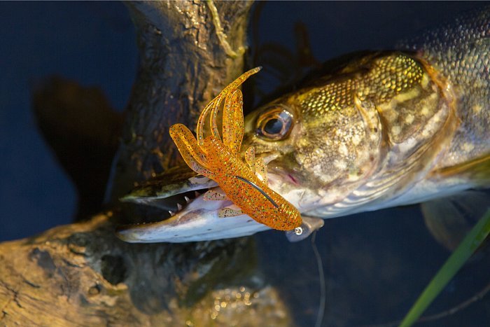 Силиконовая приманка "Volzhanka Quick Claw 50" цвет 1009 (в упак. 5шт)