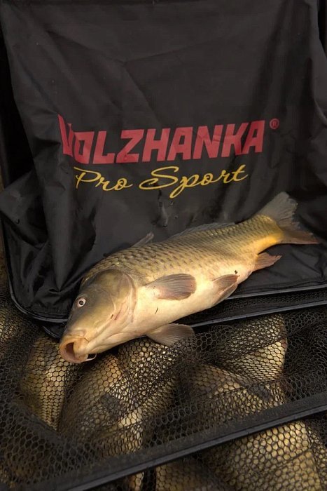 Садок "Volzhanka Pro Sport Lite" 3.0м, латекс