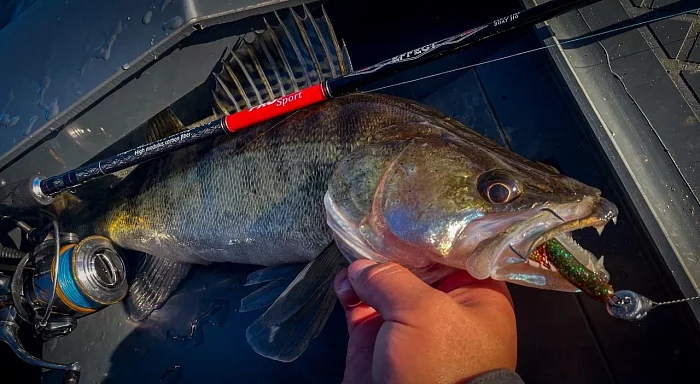 Судак в октябре