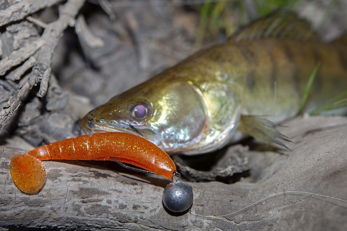 Силиконовая приманка "Volzhanka BigMag Shad  75" цвет 1009 (в упак. 6шт)