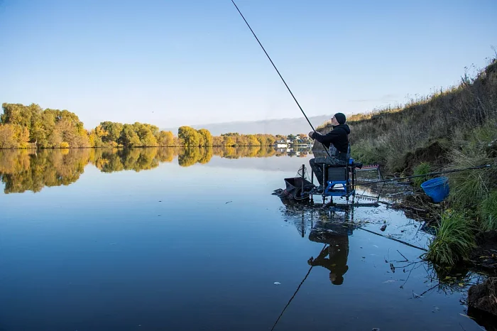 Платформа Pro Sport D36