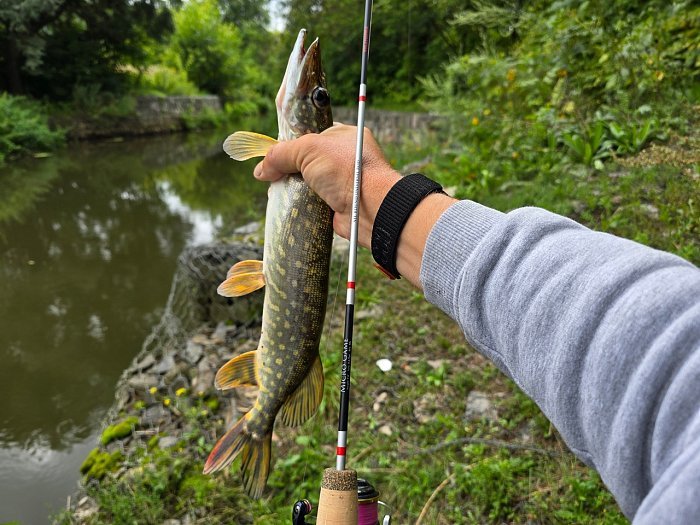 Спиннинг "Volzhanka Pro Sport Micro Game 7`2" 1-6gr " тест 1-6гр 2.2м кольца sea guide tit. RS