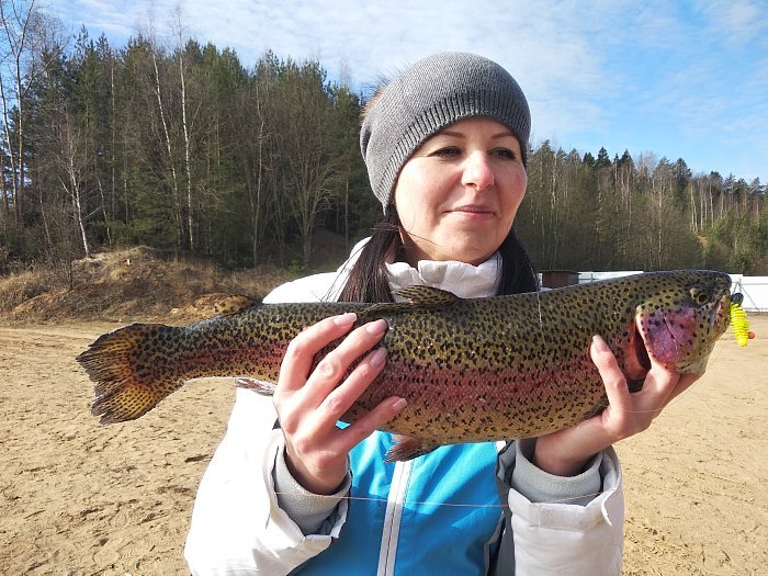 Силиконовая приманка "Volzhanka Fan-trout 50" цвет 1021 (в упак. 8шт)