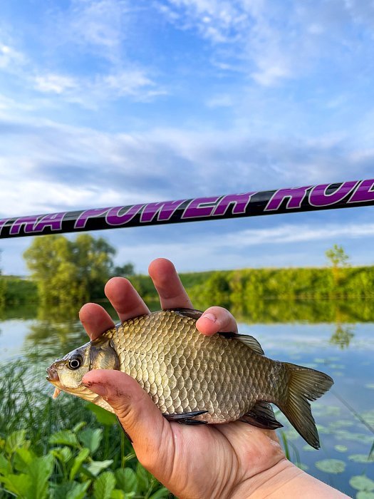 Удилище б/к "Волжанка Шторм" 7.0м тест до 30гр (7 секций)