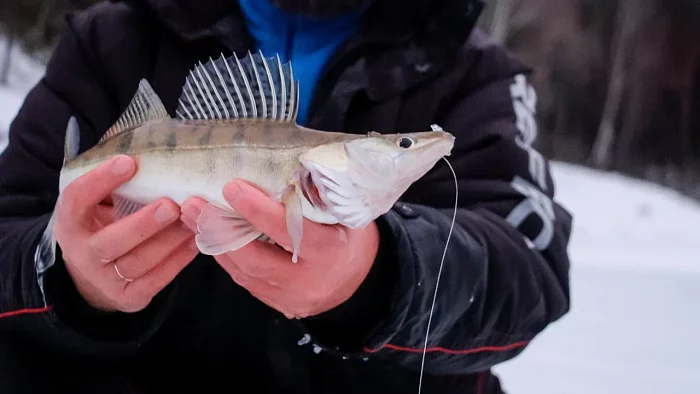 Леска из флюорокарбона "Метеор" 100м/0.16мм 1.43кг цв. прозрачный