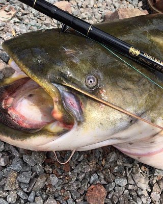 Запчасти для удилищ бортовых