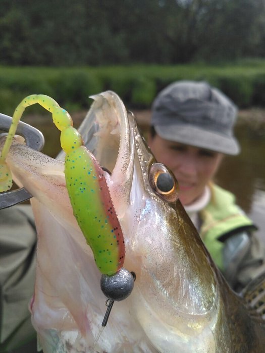 Силиконовая приманка "Volzhanka Sexy Bleak 110" цвет 2017 (в упак. 5шт)