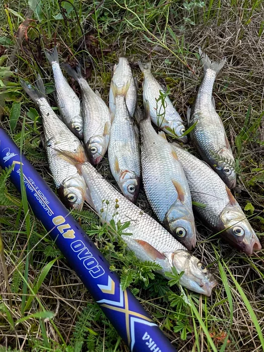 Удилище с/к "Волжанка Соло" 4.7м (10 секций) тест 5-80гр